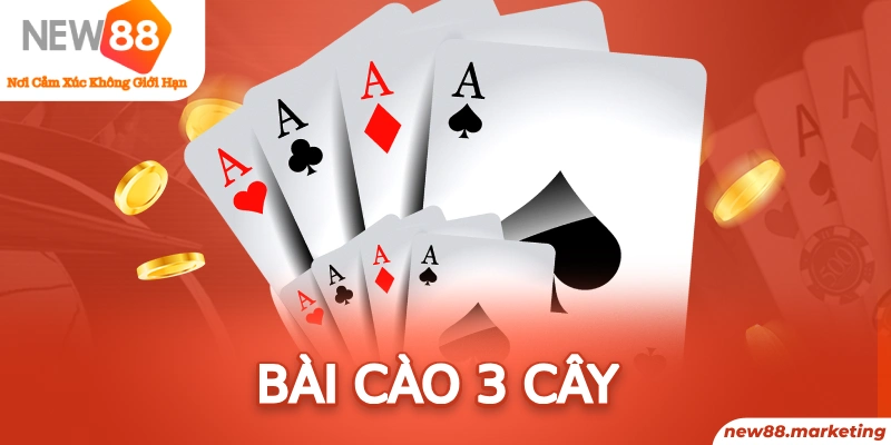 vin777 78 vảy gà tốt nên chọi