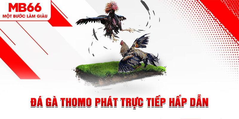 vin777 xổ số thứ tư