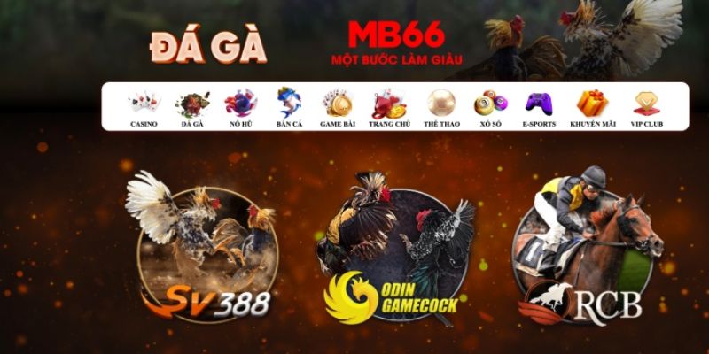vin777 what is casino bonus wagering
