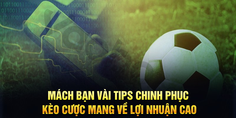 vin777 đăng nhập phỏm hàng đầu