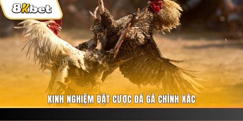 vin777 xổ số thứ bảy hàng tuần