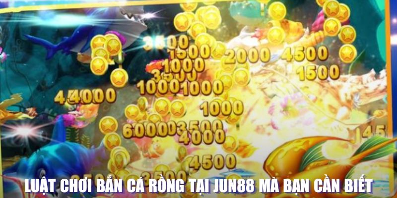 vin777 xổ số đài hà nội