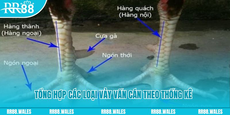 vin777 casino hồ tràm có cho người việt vào không