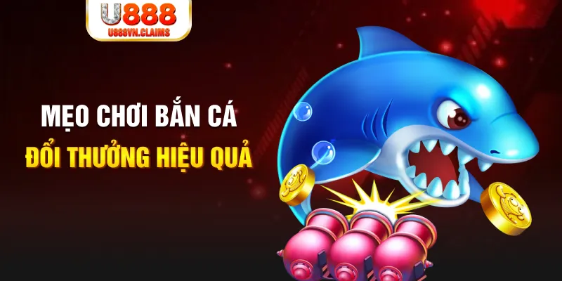 vin777 gà chọi cam ranh