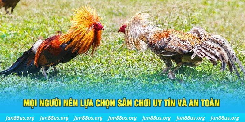 vin777 Cỡ bảy
