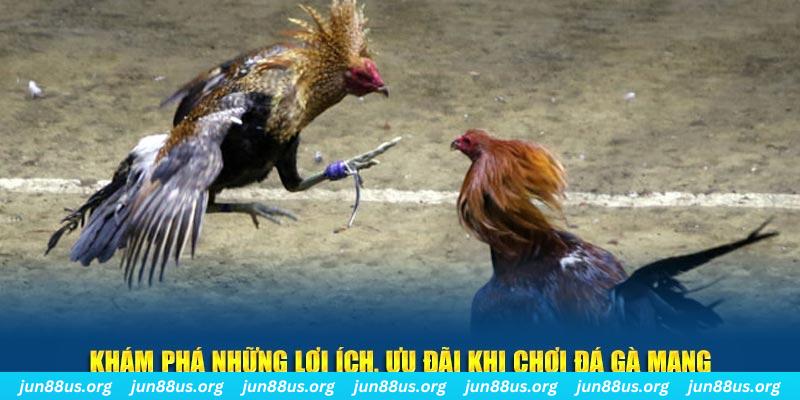vin777 đăng nhập liêng live