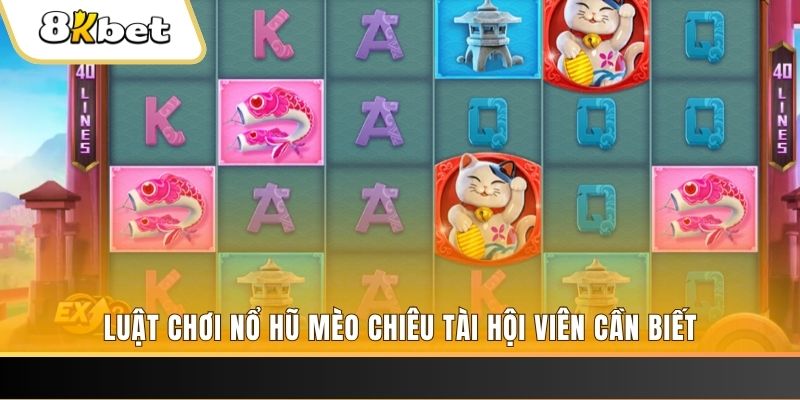 vin777 gà chọi cu cần