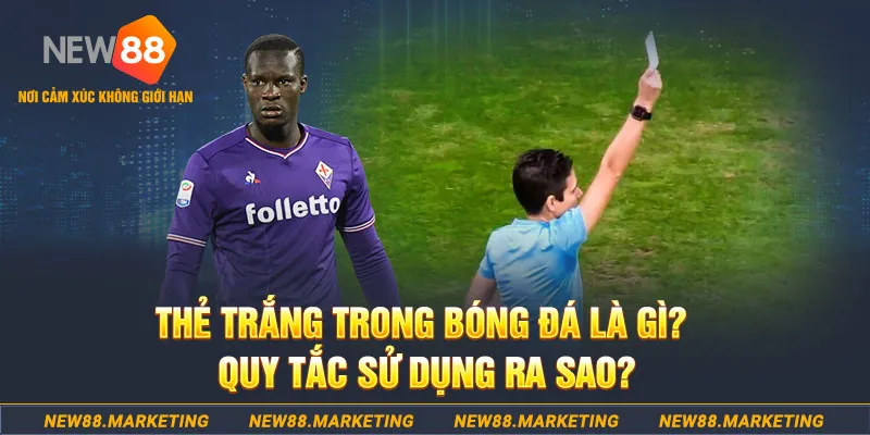 vin777 đăng nhập sòng bạc hôm nay