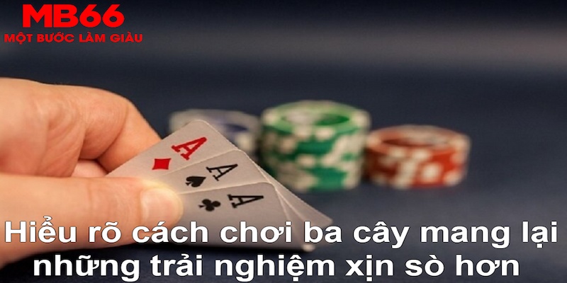 vin777 ÁT CHỦ MÁY HOA QUẢ THẦN TÀI