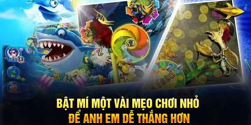 vin777 xổ số thứ ba