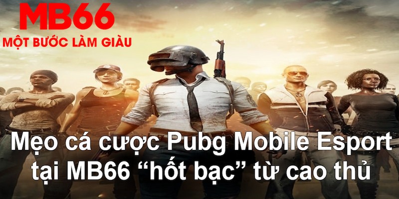 vin777 đăng nhập poker hàng đầu