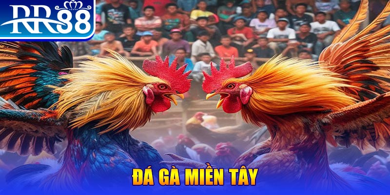 vin777 người chia bài trong casino gọi là gì
