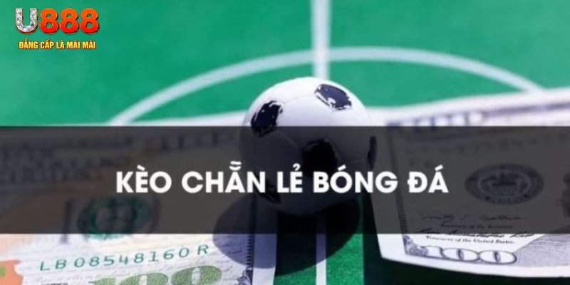 vin777 gà chọi c1.tv