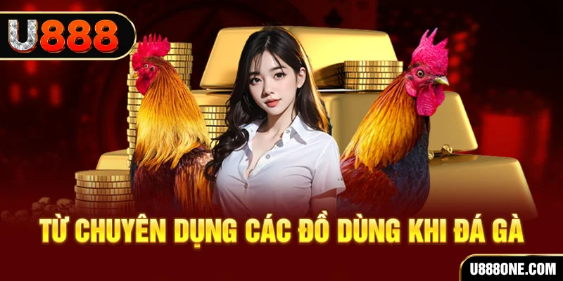 vin777 đá gà trực tiếp campuchia